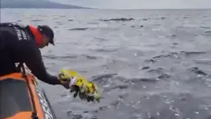 La Marine se souvient des militaires qui sont morts dans l'accident du NRP António Enes.