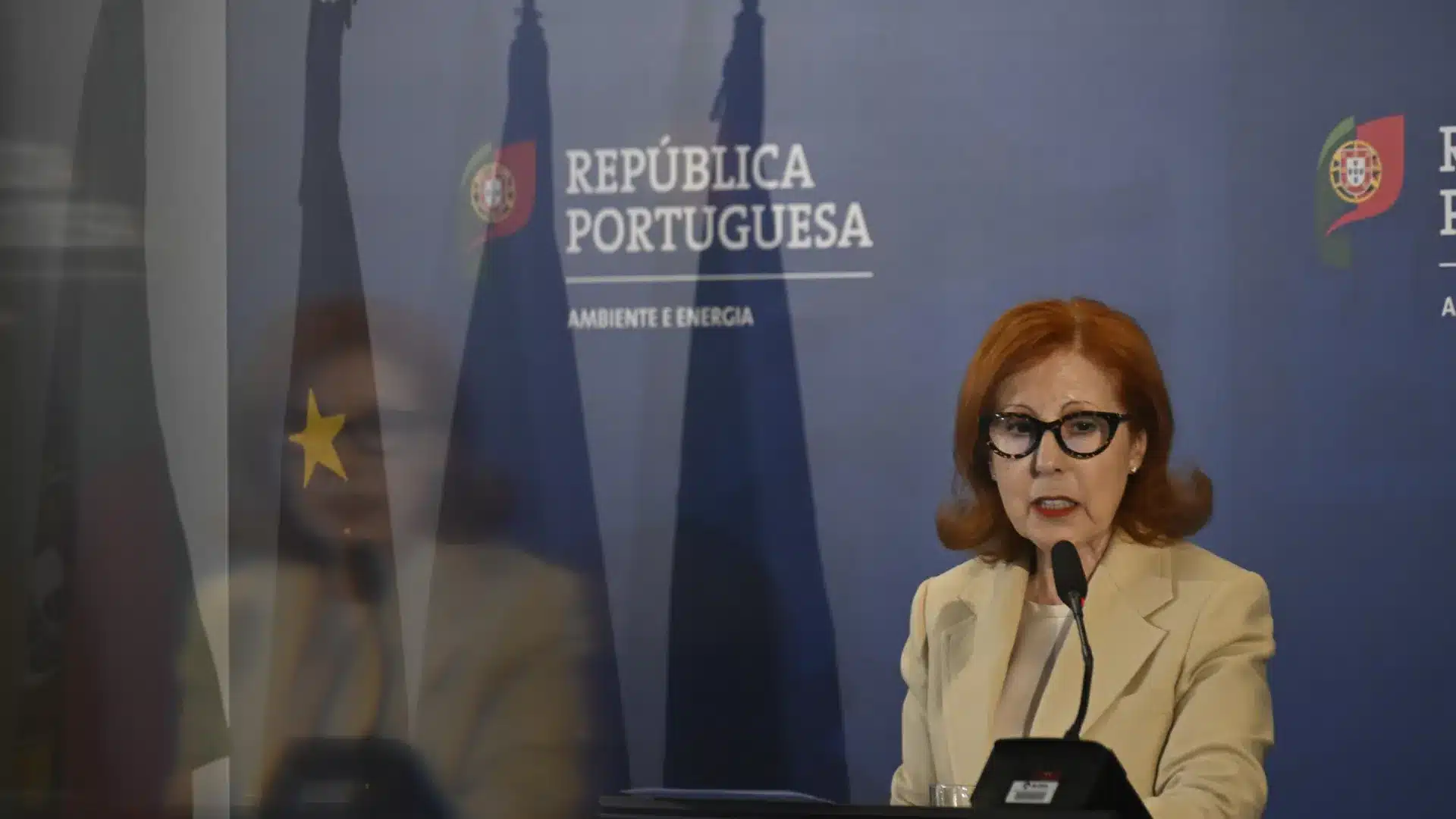 La ministre de l'Environnement qualifie l'intervention sur les falaises de "super urgente".