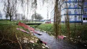 La municipalité de Leiria récupère un avion historique du Parc de l'Avion.
