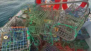 La Police Maritime effectue une inspection à Lagos et détecte 62 "pièges".