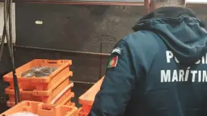 La Police Maritime saisit 984 kg de baudroie au port de pêche de Sines.