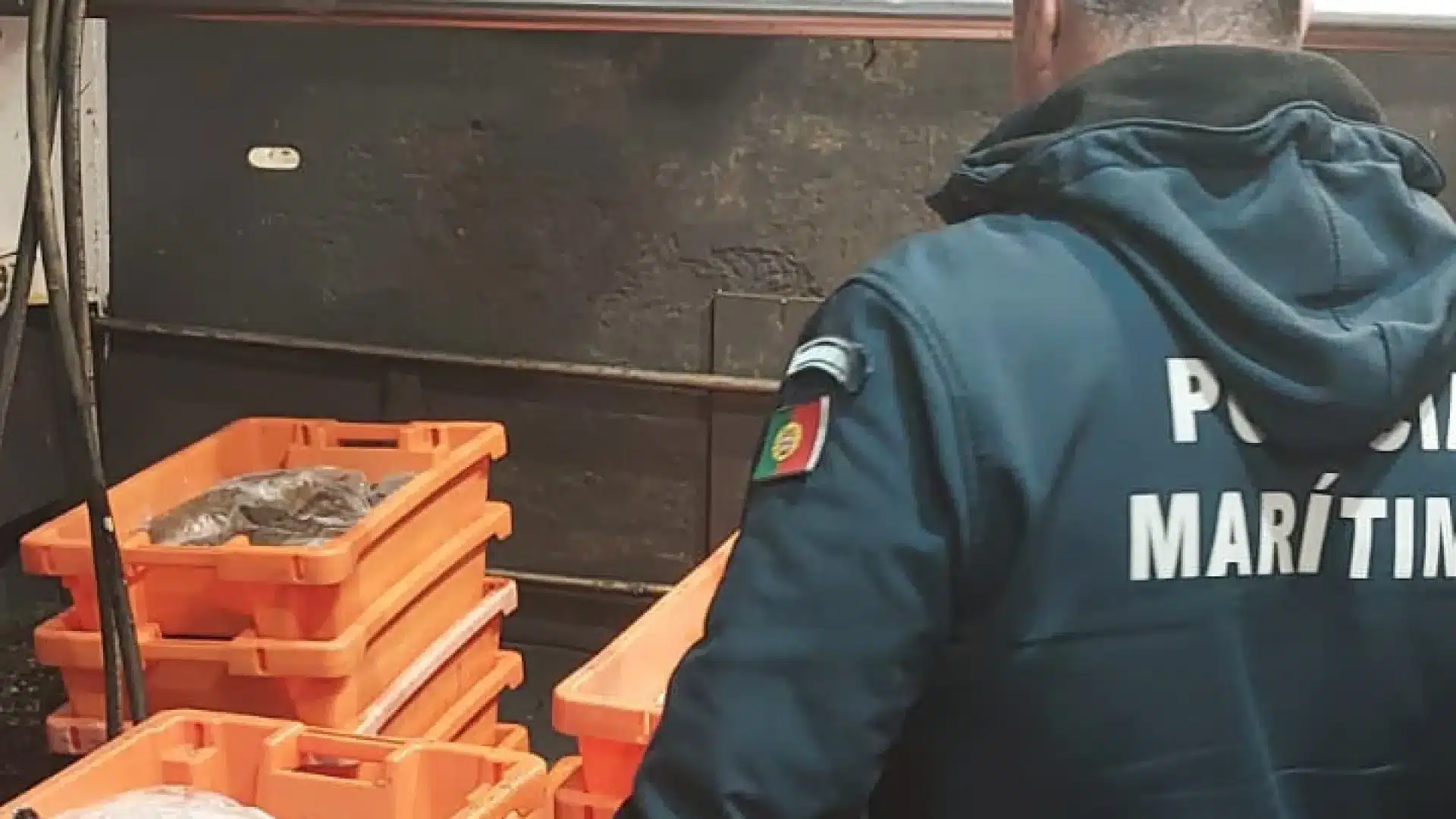 La Police Maritime saisit 984 kg de baudroie au port de pêche de Sines.