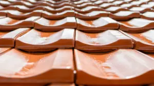 La recherche de tuiles à Leiria se poursuit un mois après.