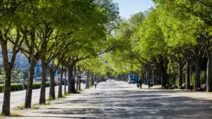 La semaine de Pâques apporte de la chaleur (et un peu de pluie aussi). À quoi s'attendre ?