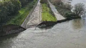L'ancien président du LNEC déclare que le projet de construction sur le Mondego est abandonné.