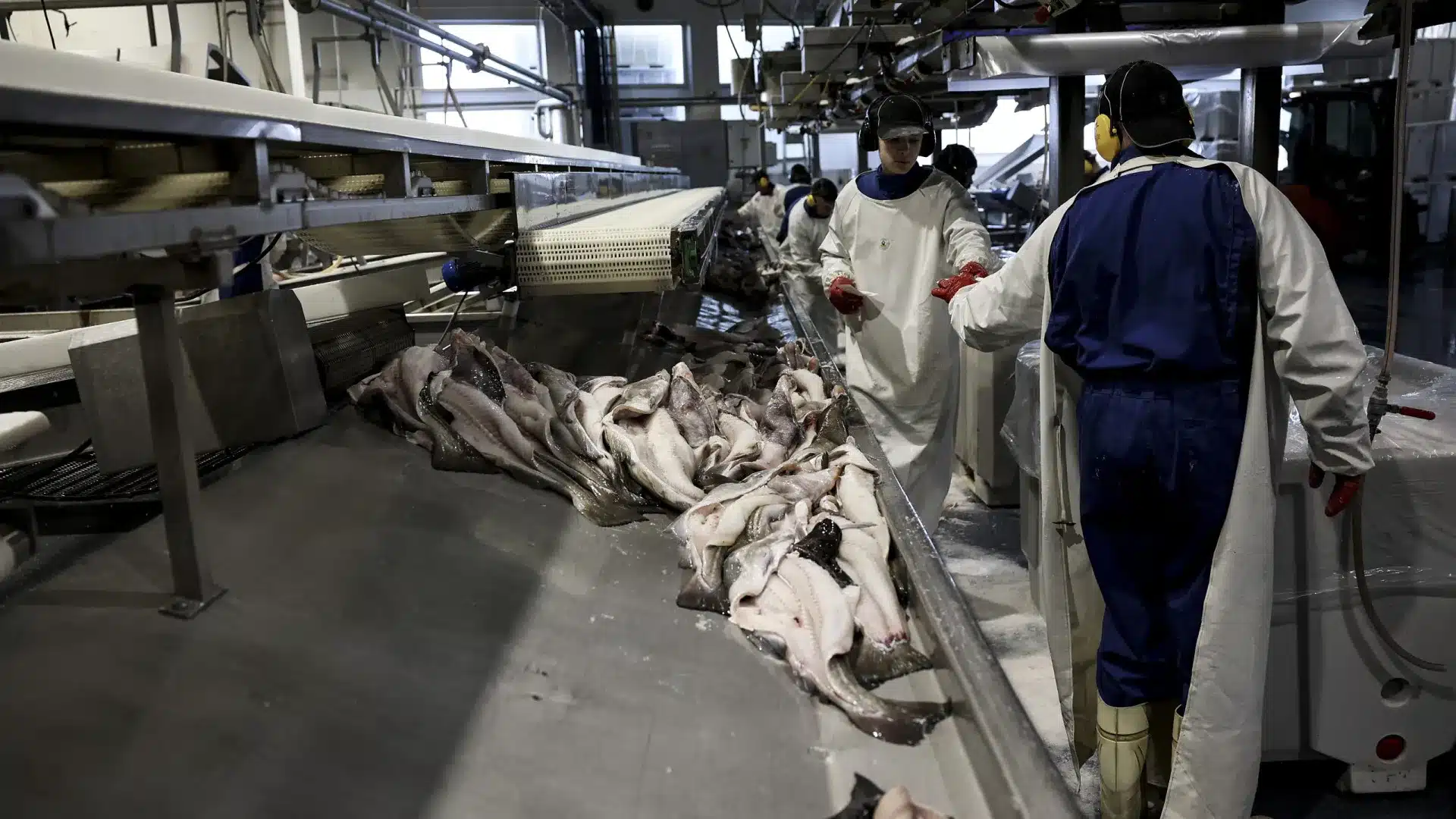 Le Conseil norvégien des produits de la mer va investir jusqu'à 800 000 € ici.