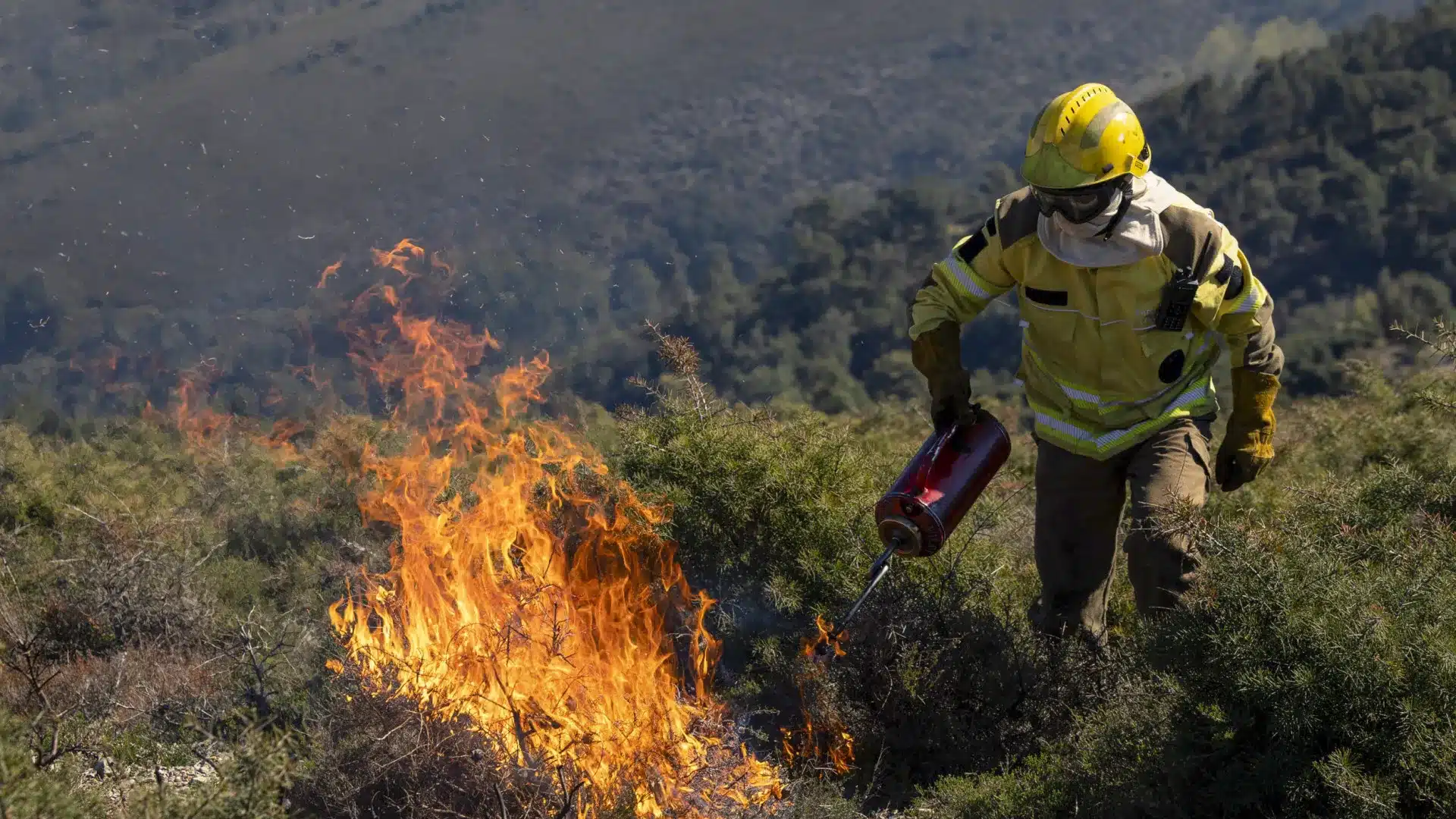 Le feu contrôlé en hiver aide à contenir les incendies et à renouveler les pâturages.