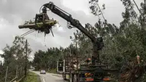 Le gouvernement avance avec 40 millions pour que les propriétaires nettoient les forêts.