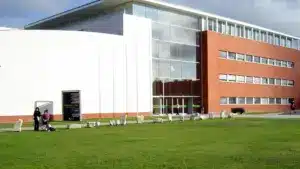 Le nombre d'animaux marins en réhabilitation a augmenté à l'Université d'Aveiro.