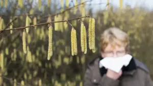Le printemps arrive et apporte... pollen (et pluie) : Rappelez-vous les précautions à adopter.