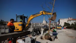 Le Sanctuaire de Fátima commence la plantation de nouveaux arbres dans l'enceinte.