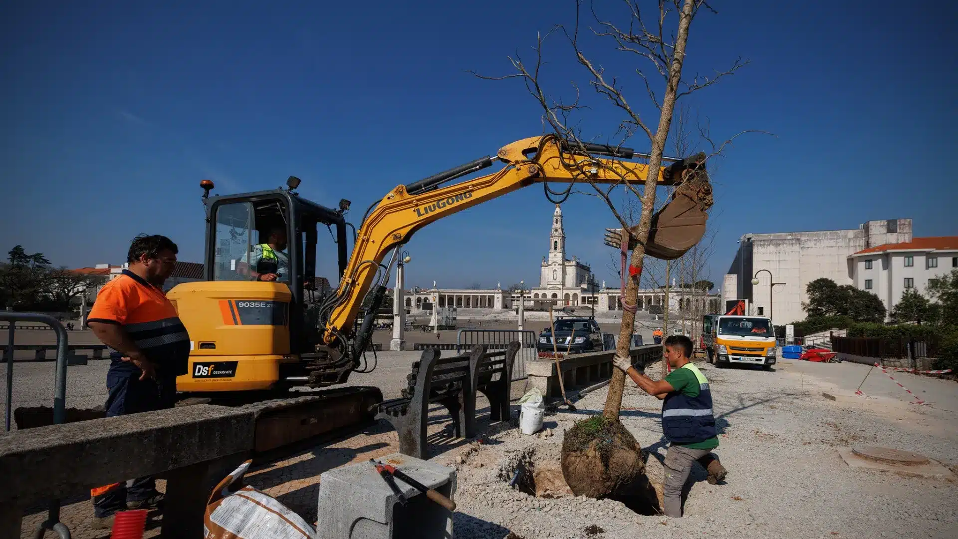 Le Sanctuaire de Fátima commence la plantation de nouveaux arbres dans l'enceinte.