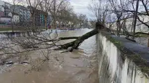 Le seul argent que Leiria a reçu était 5 millions de l'assureur.