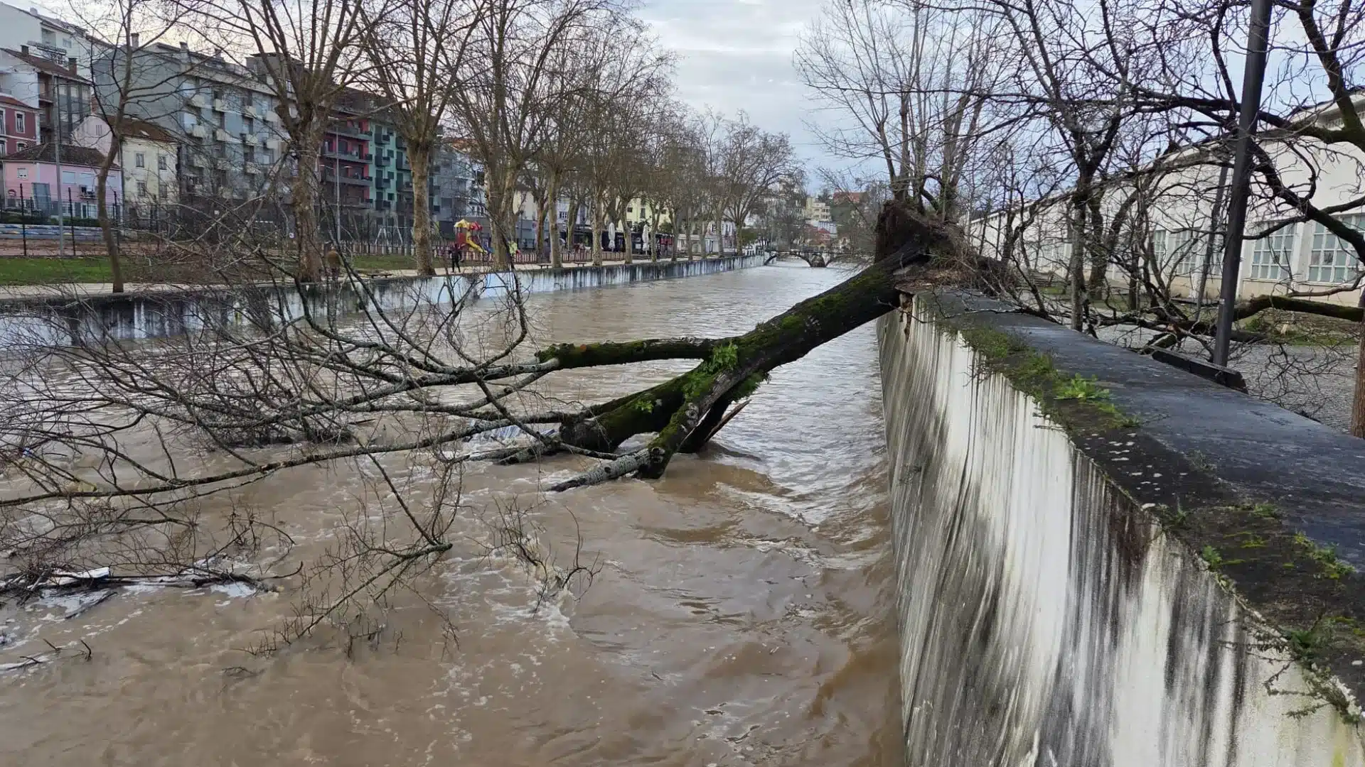 Le seul argent que Leiria a reçu était 5 millions de l'assureur.