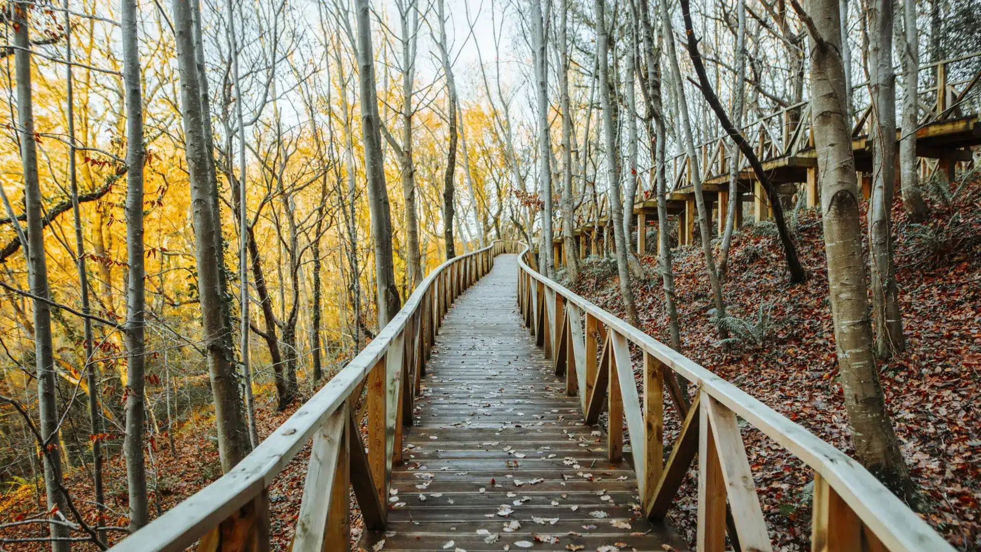 Les Açores alertent sur les "surcoûts du sauvetage" sur les sentiers.