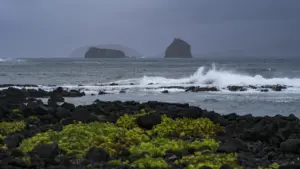 Les Açores ont comptabilisé 67 occurrences en raison de la dépression Therese.