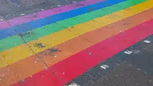 Les associations LGBTI+ demandent une position "inéquivoque" au gouvernement.