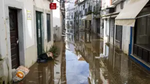 Les pertes à Alcácer do Sal atteignent 107 millions (la majorité sont municipales).