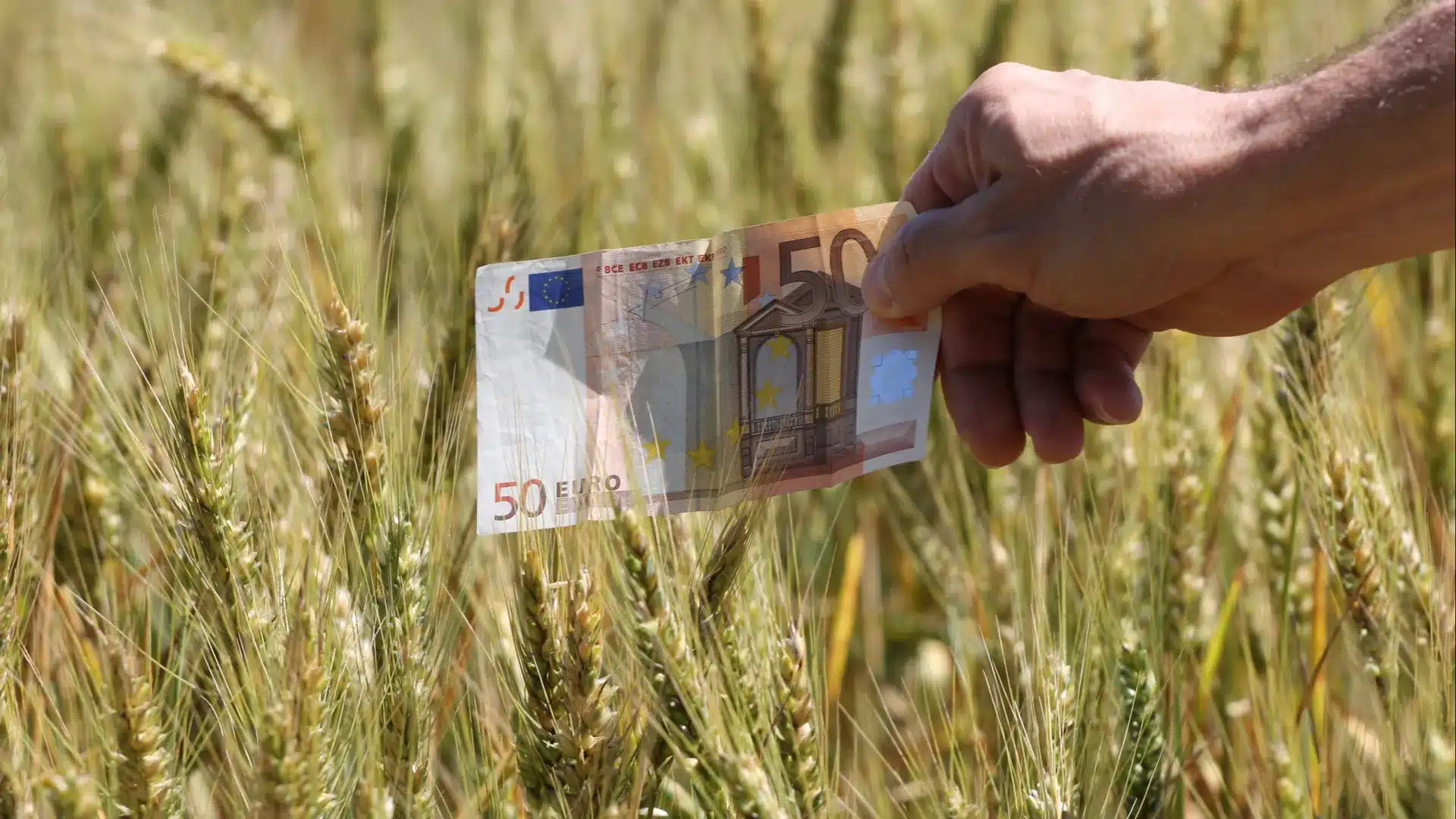 Lisbonne et Vallée du Tage a proposé au gouvernement 187 projets dans le cadre du PTRR