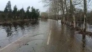 L'Unité de Mission intègre le Réseau d'Urgence pour garantir la rapidité des soutiens.