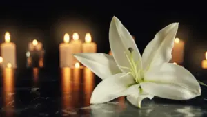 Mário Zambujal : Les obsèques du journaliste et écrivain débutent samedi.