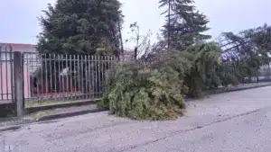 Mauvais temps : Bruxelles disponible pour réallouer l'argent non dépensé du PRR
