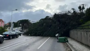Mauvais temps : le ministre admet qu'il y a eu "quelques abus".