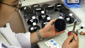 Oeiras : Légionella détectée dans l'une des tours du datacenter du TagusPark