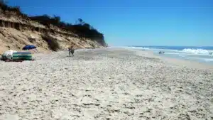 Ovar aborde le "désastre environnemental" avec une décharge près de la Praia da Maceda.