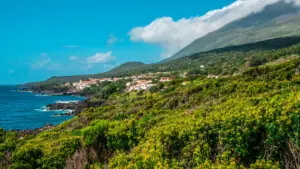 Pétition demande la suspension de l'exigence de reçu pour la subvention de mobilité