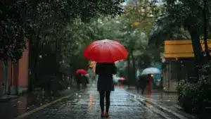 Pluie et neige... À quoi s'attendre pour le temps de demain, mardi