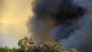 Plus de 100 opérateurs combattent un incendie dans le Parc National de Peneda-Gerês.