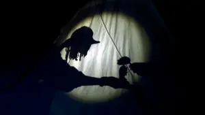 Plus de 25 projets font le Festival de Marionnettes et Formes Animées.