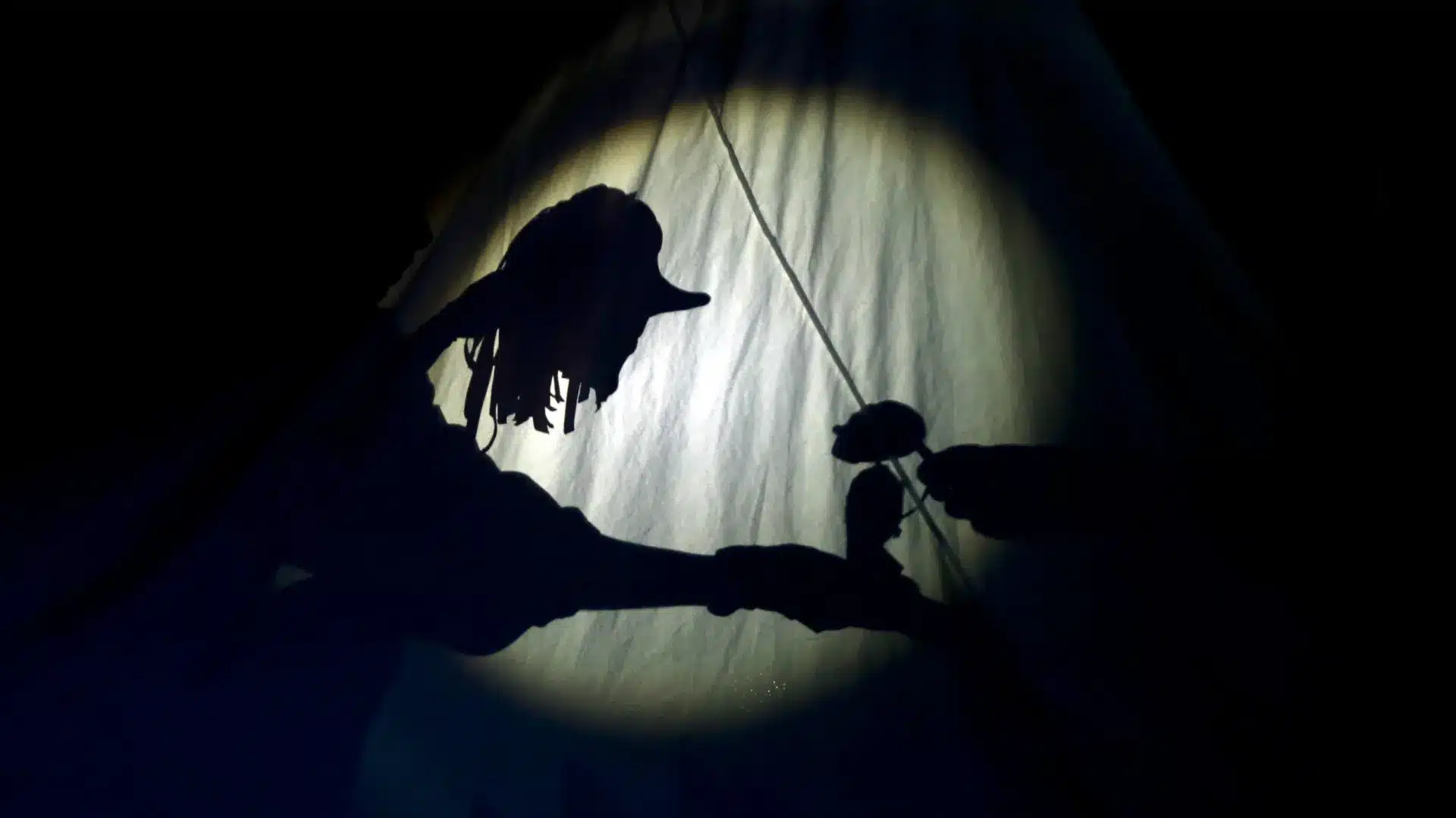 Plus de 25 projets font le Festival de Marionnettes et Formes Animées.