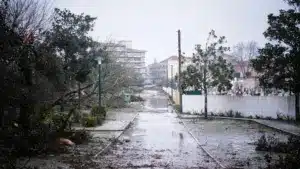 Près de 350 aides pour la reconstruction de maisons à Leiria refusées