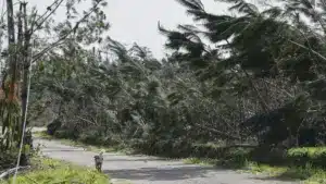 Près de 50 millions de pertes signalées par 2 661 agriculteurs.