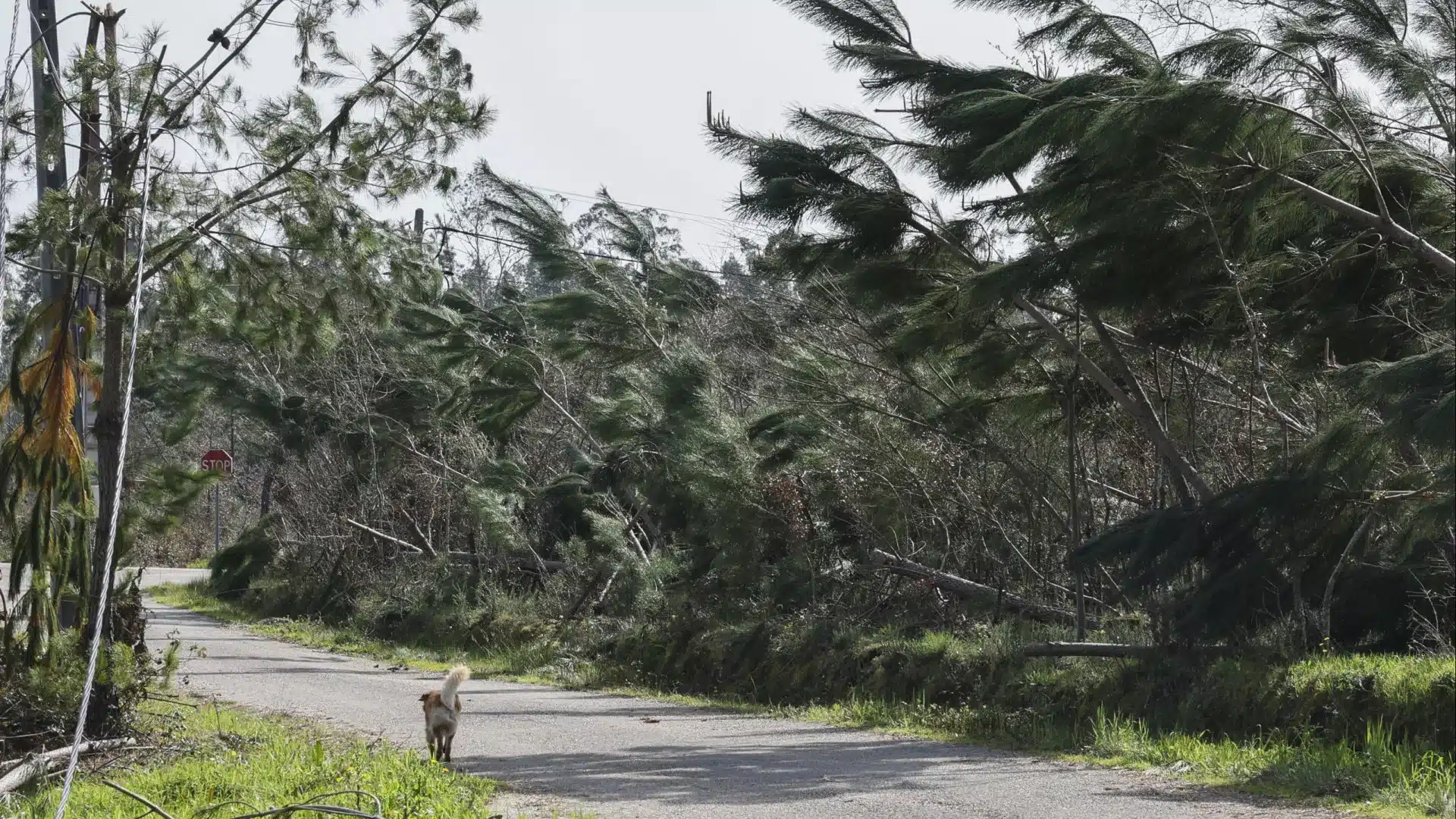 Près de 50 millions de pertes signalées par 2 661 agriculteurs.
