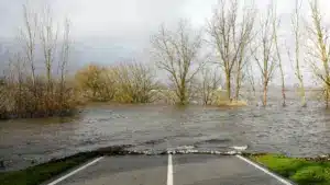 Soure avec des pertes de 25 millions d'euros à cause du mauvais temps