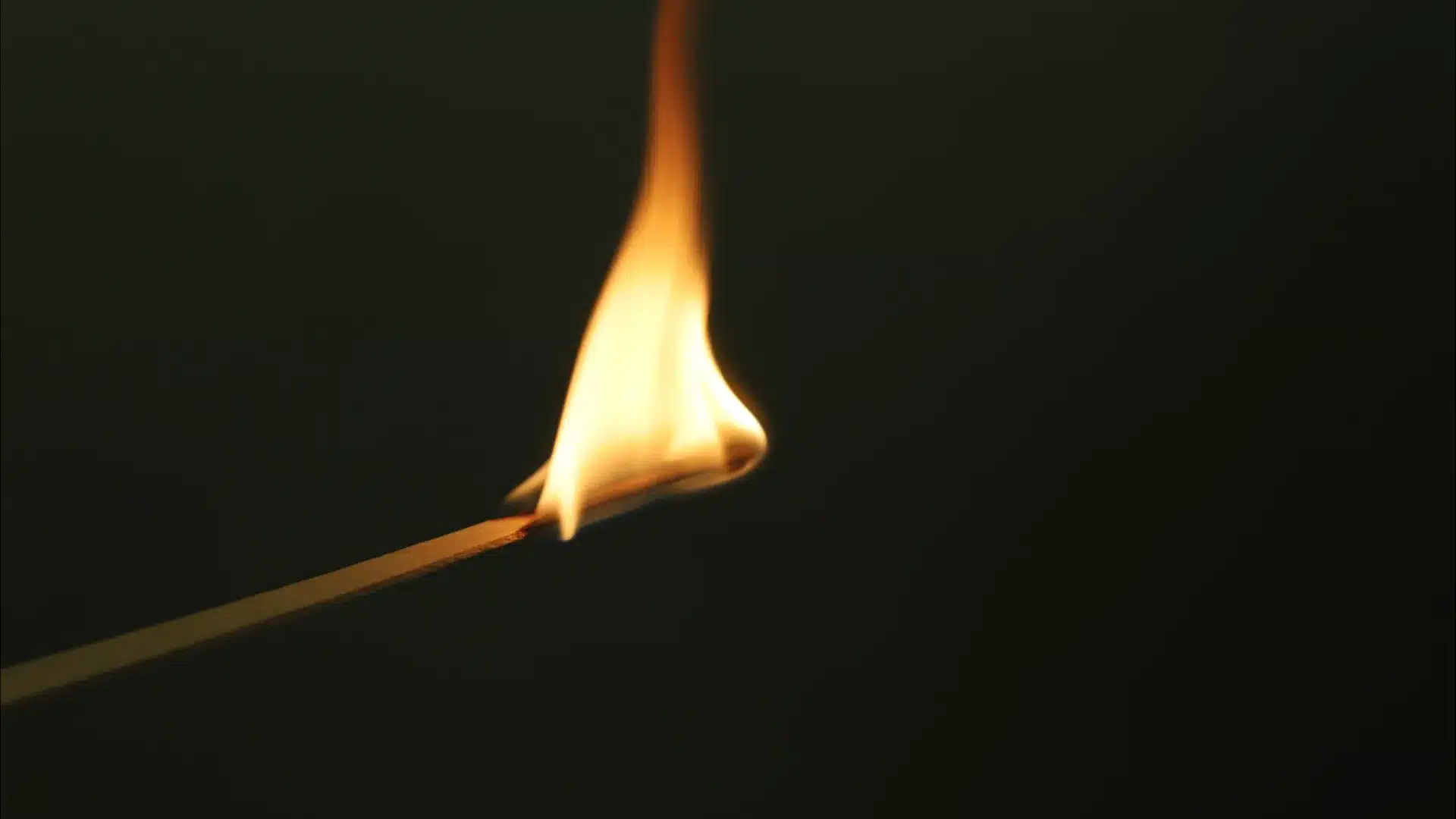 Suspecté de l'auteur d'un incendie urbain à Miranda do Corvo arrêté par la PJ.