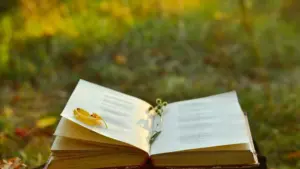 Un salon du livre uniquement consacré à la poésie s'installe aujourd'hui au Jardin da Parada.