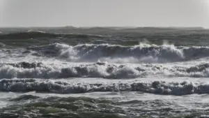 Vendredi de neige, vent et agitation maritime. Quinze districts sont sous alerte.