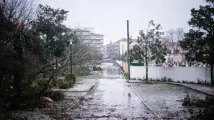 179 (sur 9 227) candidatures à des aides à la reconstruction de maisons ont été payées.