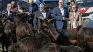 30 millions par an pour soutenir les bergers et contrôler le risque d'incendies.