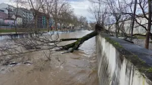 À la fin de 3 mois, des défaillances persistent dans les télécommunications dans le Médio Tejo.