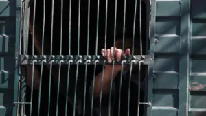 A volé, agressé et menacé de mort des membres de la famille et des passants à Seixal.