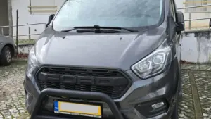 Appropriation. Véhicule volé aux Pays-Bas récupéré à Alvaiázere.