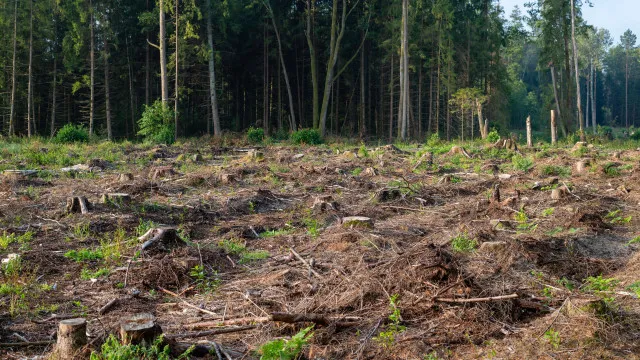 BUPi avec 42 % de la superficie identifiée. L'État et les collectivités ont jusqu'en 2028.