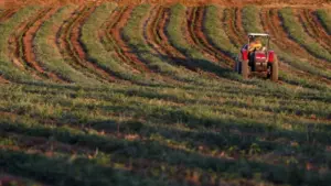 CNA dénonce des "retards et insuffisances" dans les soutiens aux agriculteurs.