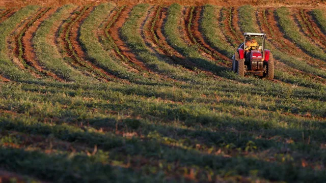 CNA dénonce des "retards et insuffisances" dans les soutiens aux agriculteurs.