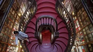 Demande de reconnaissance de la Fondation Livraria Lello rejetée.